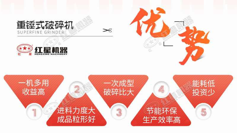 豸չ